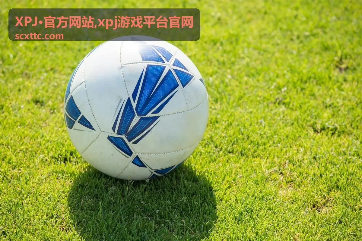 XPJ·官方网站官网说明封面