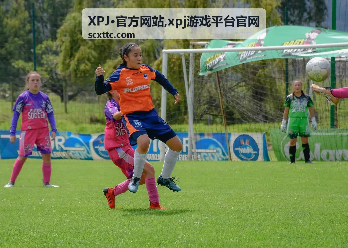 XPJ·官方网站平台服务指南封面